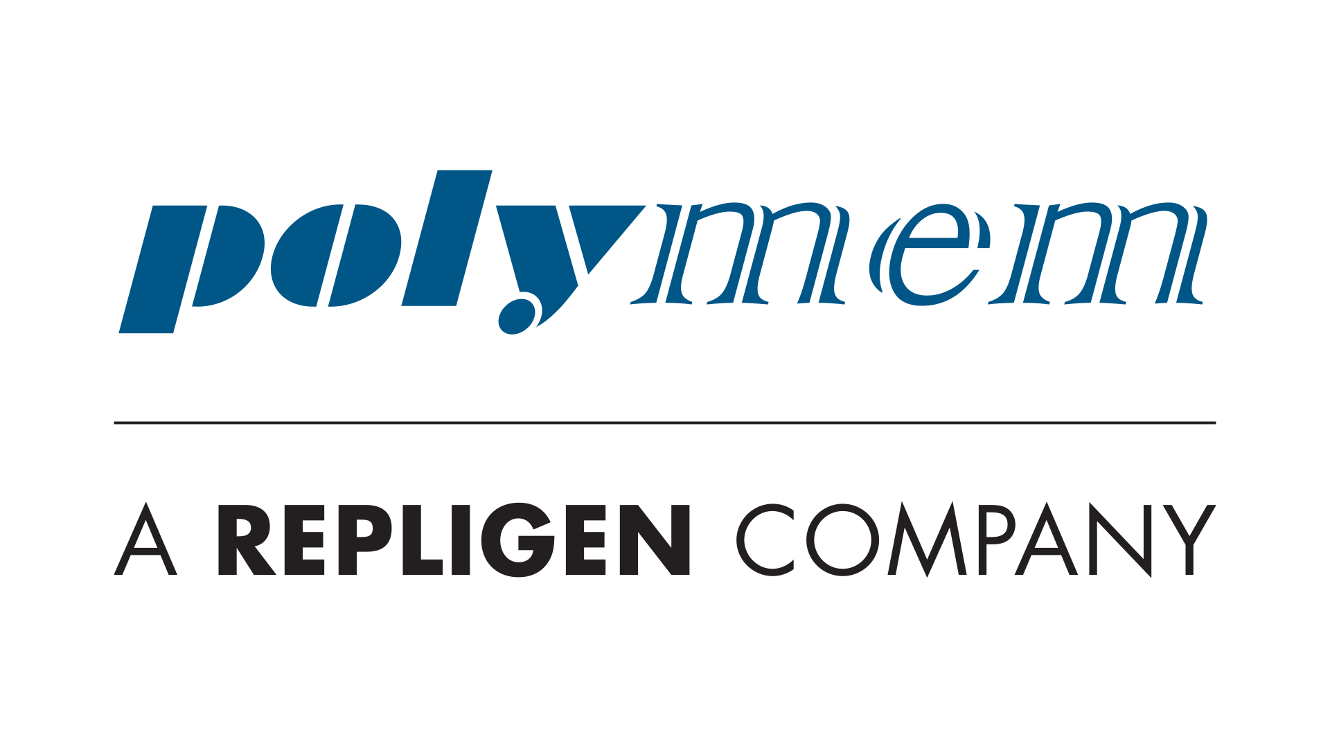 Logo POLYMEM SAS